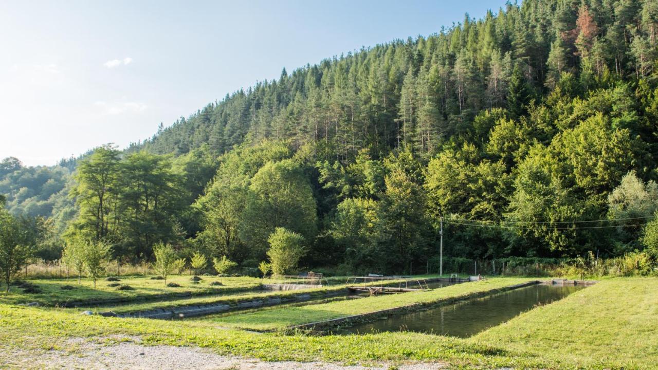 Къща за гости Черна река Рибарица Экстерьер фото